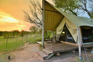 Rhino Walking Safaris - 1