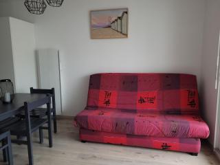 L'Ibis - Saint-Jean-de-Monts - 3