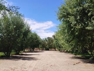 Kwelanga River Lodge - Vioolsdrif - 2