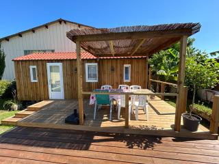 Chalet de jardin, piscine - Seignosse - 3
