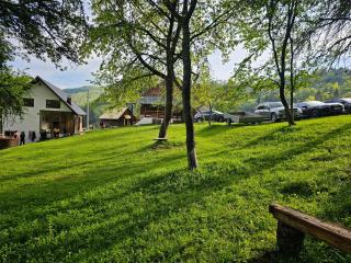 Casa Sufletului - Avram Iancu - 5