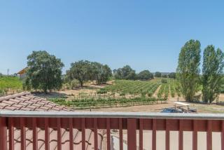 Elegant Suite with Stunning Vineyard Views - Plymouth - 7
