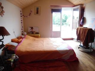 Grande maison familiale spacieuse , agréable et calme - Landeronde - 1