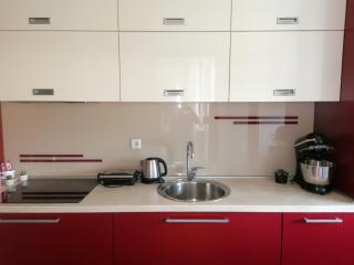Comfort apartment in city center - Sarajevo - 5