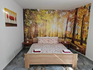 Apartmani Royal Residence - Golubac - 8