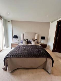 Luxury Two bedroom Apartment in Chelsea With City and River View - Londra - 6