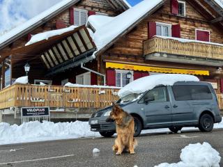 Alprestaurant Stäldeli - Flühli - 4