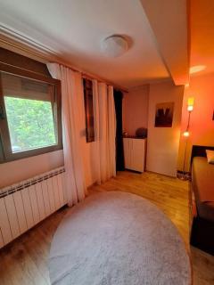 Jupiter apartment - Sajmište - 9