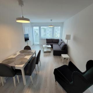Apartament Walecznych 10, Brzeźno - 8