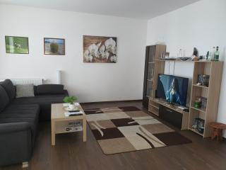 Park West Apartment - Free Parking - Budapest - 8