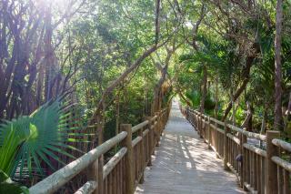 Estates Three Bedroom- Riviera Maya - 5