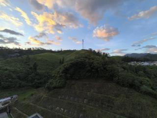 Cómodo, nuevo y con linda vista. - Manizales - 7