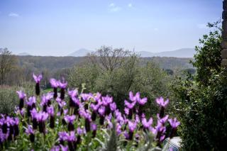 Villa Rossella - Manziana - 3