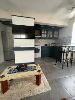 Scarlett Studios 3-US Embassy 7 mins drive- Lloyd Erskine Sandiford Centre & Ross university 5 mins drive-Only a 1 night reservation includes airport and embassy round trip - 3