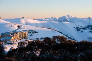 Red Robin - Mount Hotham - 9