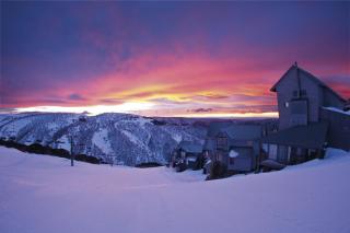Red Robin - Mount Hotham - 8
