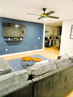1BR 1Q Bed Queen Sofa bed DwnTwn Med Center - 1