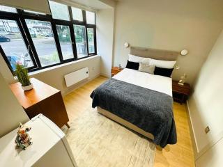 London Top Ensuite II Rooms Great Location close to London Eye - Londra - 3