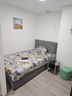 RM Festival Rooms Guca - Guča - 4