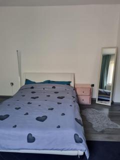 Casa Andreea - Mediaş - 8