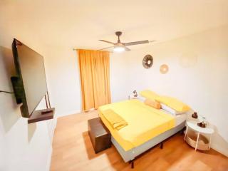 2BR 1 Queen 2Full 1 Sofa Q beds DwnTwn Med Center- UNIT A - 2