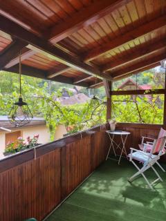Casa Andreea - Mediaş - 9