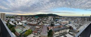 Hermoso dpto céntrico 1dormitorio y 1baño, amoblado - Temuco - 4