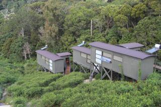 The Rainforest Ecolodge - Sinharaja with Shuttle Service from Car Park - Deniyaya - 5