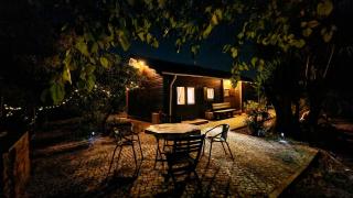 Chalet Villa Mosquito - Silves - 9
