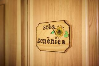 Apartments Organic Tourist Farm Gradišnik - 3