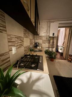 Apartament Vintage - Sighişoara - 8