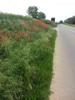 Casa Torre Cruilles Big, Stylish, Modernized 'Castle' Prime Costa Brava with AC - 2