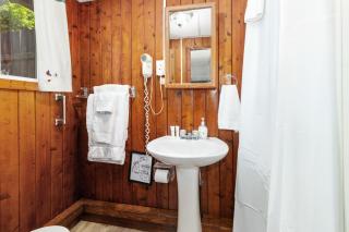 Chippewa Bluffs Resort - 2BR 2BA Cabins - Barryton - 1