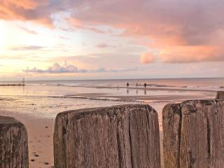 Driftwood - Mundesley - 3