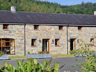 Tyddyn at Hendre Rhys Gethin - Betws-y-coed - 3