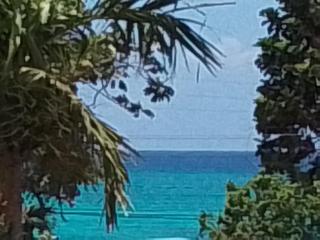 Chatham Palms - Montego Bay - 0