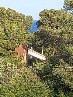 Superbe appartement Fabrégas - La Seyne-sur-Mer - 2