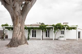 Monte dos Coureleiros - 7