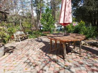Large Home at Yosemite Gateway ! - Groveland - 8