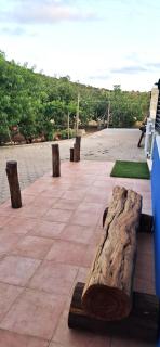 Quinta Ribeirinha - Lagos - Lagos - 2