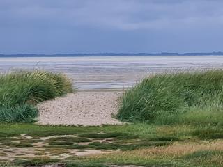 Torben´s Hüs - 2