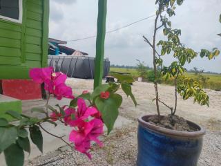 Izz Homestay Sawah Padi Sungai Besar ! - 4