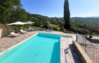 Castagno-Gemme Del Casentino - 5