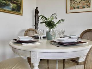 Appartement pieds dans l'eau: 2 pièces, grande terrasse, climatisation, Villeneuve-Loubet - FR-1-252A-127 - 4