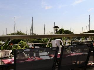 Appartement pieds dans l'eau: 2 pièces, grande terrasse, climatisation, Villeneuve-Loubet - FR-1-252A-127 - 3