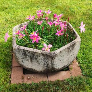 BB Guest House Ogliastra - 3