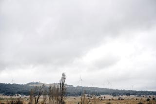 Murray Tiny Home Collector - 3
