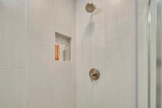 The Shining Sea Crab - 1