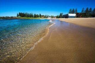 Hills View BnB Studio Kiama Heights - 3