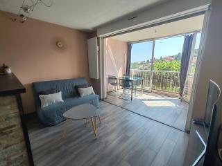 Baie D'Azur Vue Mer Piscine Parking - 8